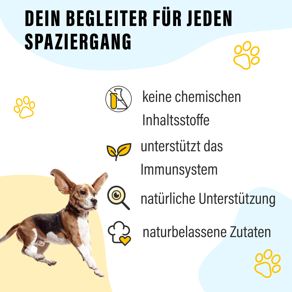 Rumtreiber Bundle