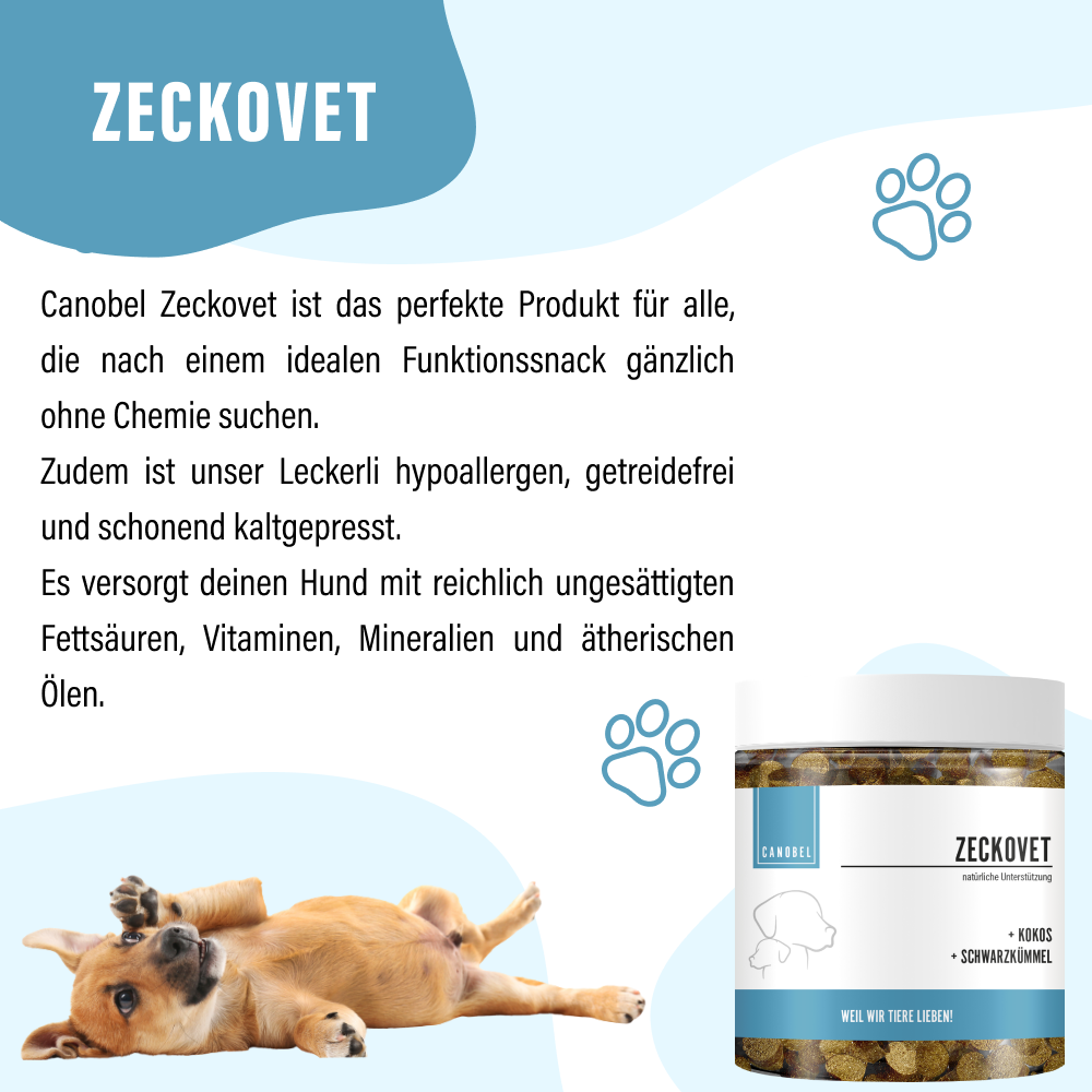 Rumtreiber Bundle