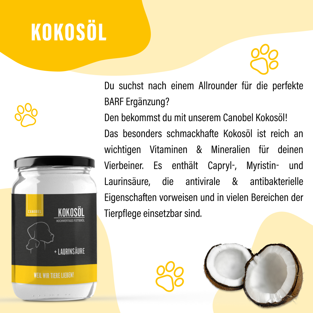 Rumtreiber Bundle