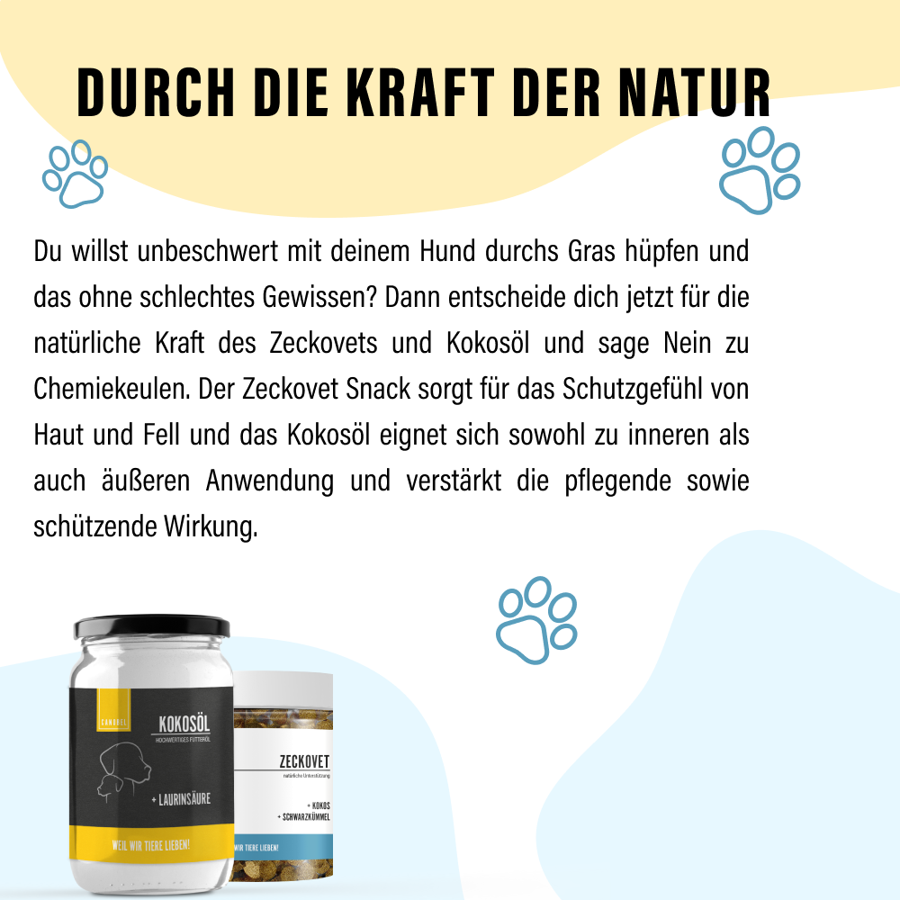 Rumtreiber Bundle