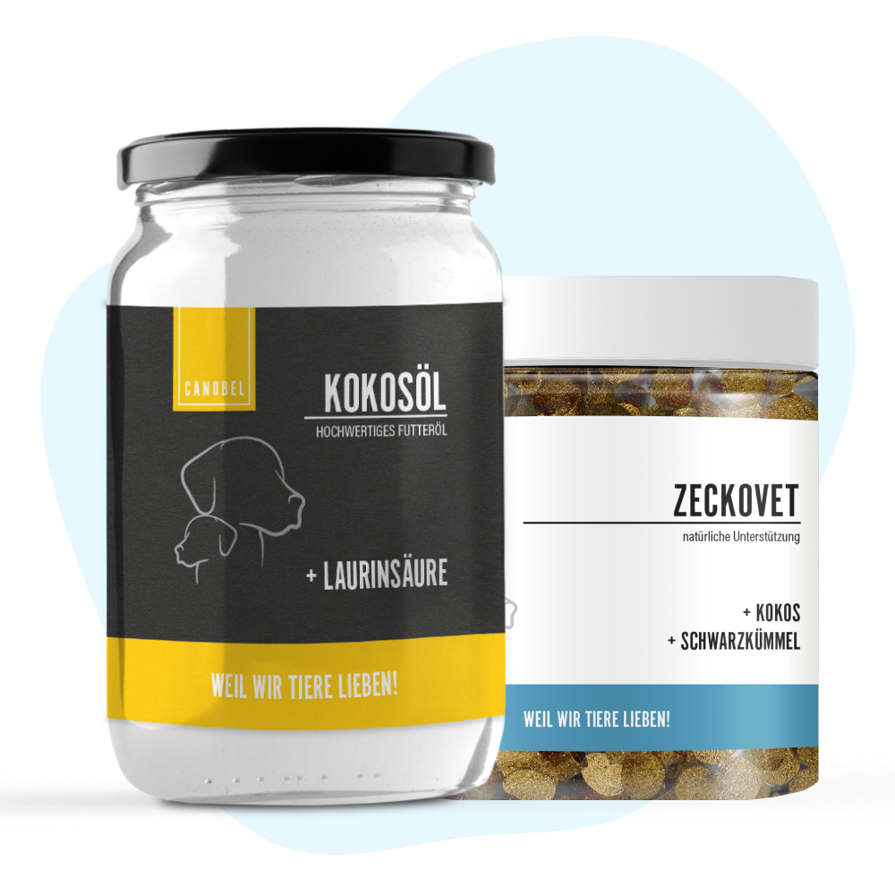 Rumtreiber Bundle