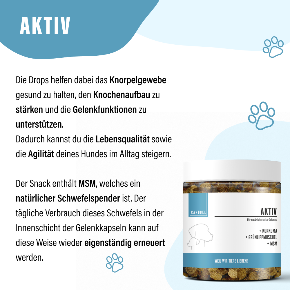 Tollen und Toben Bundle