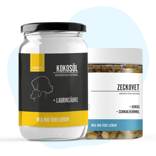 Rumtreiber Bundle