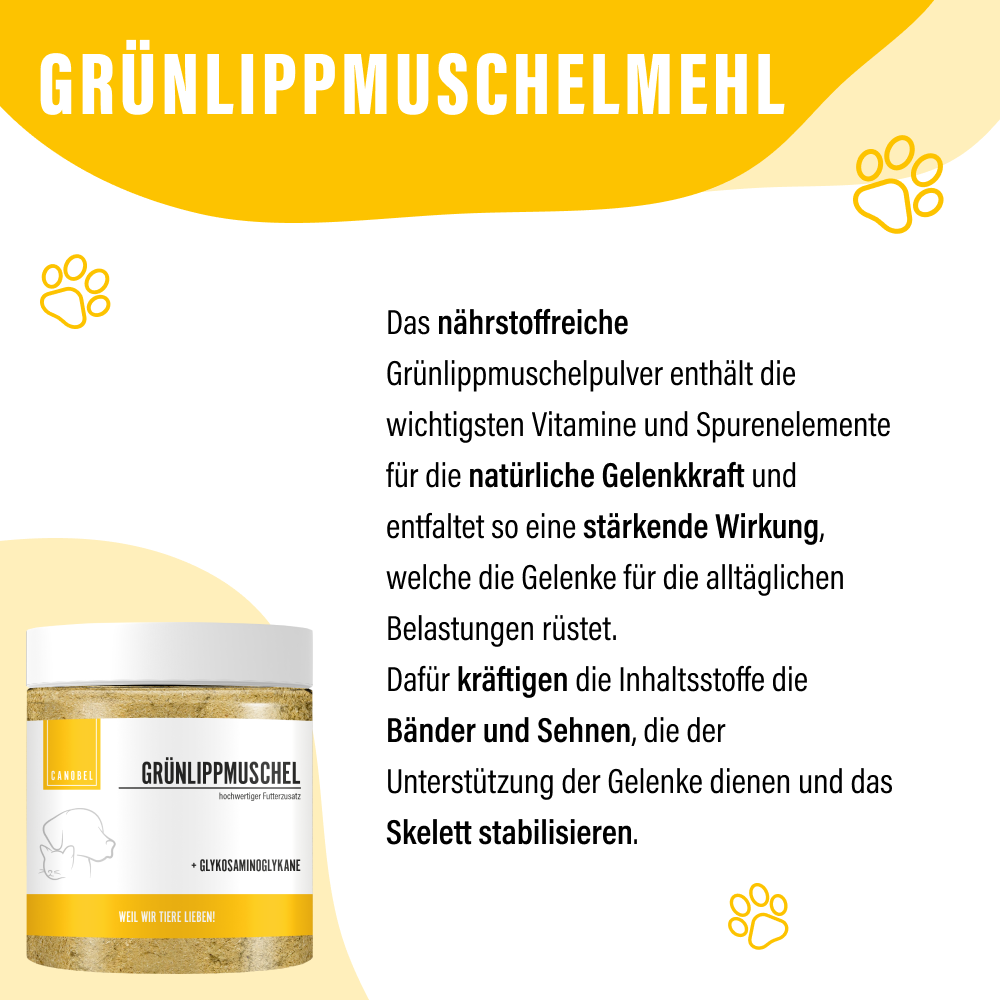 Tollen und Toben Bundle