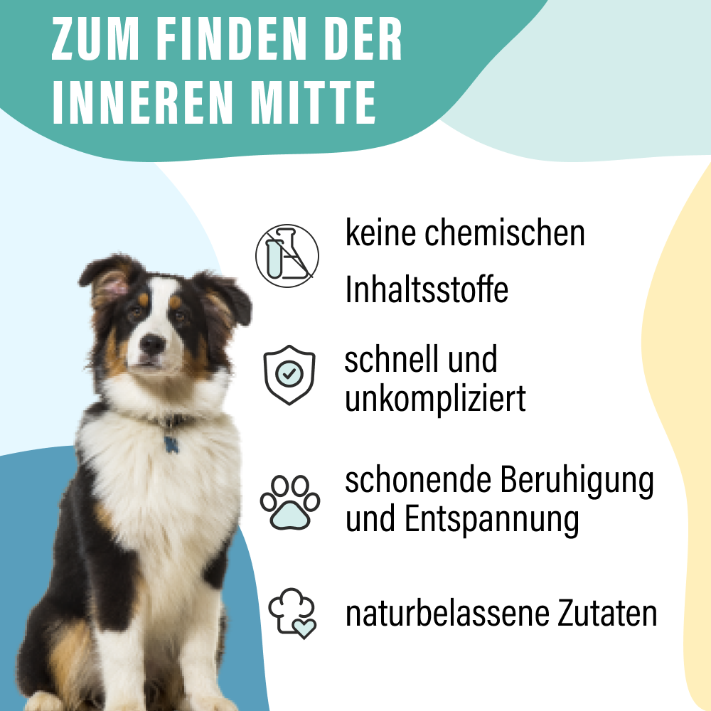 Relax doch mal Bundle