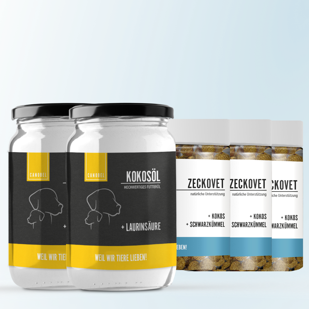 Rumtreiber Bundle